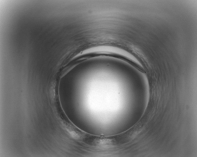 X0000068770501200605051635