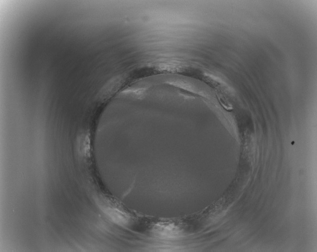 X0000068770502200605051635