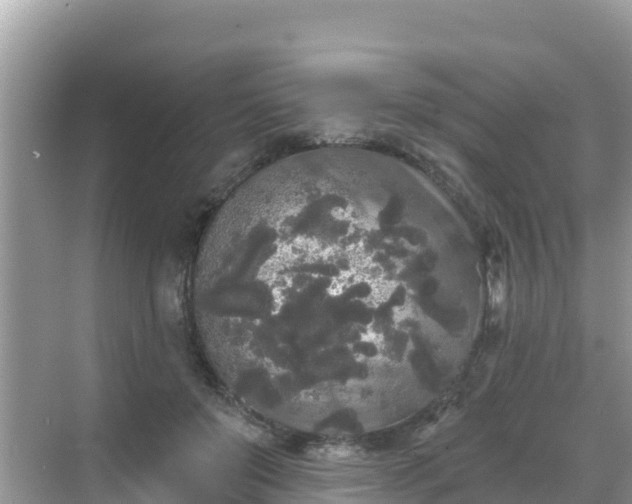 X0000068770503200605051635