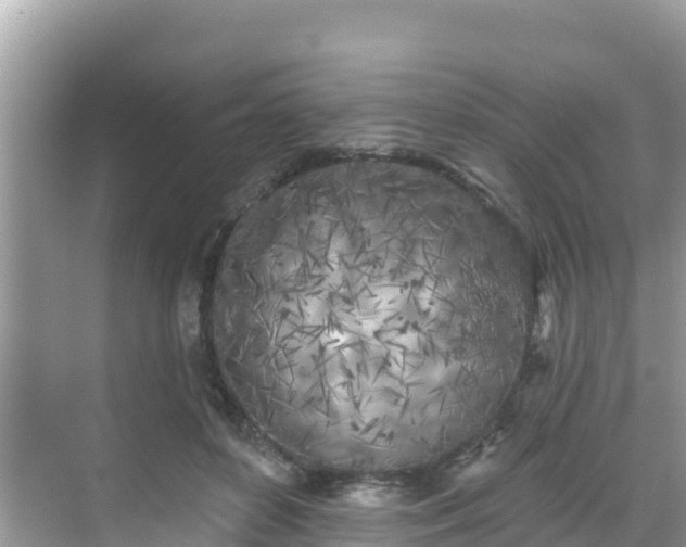 X0000068770504200605051635