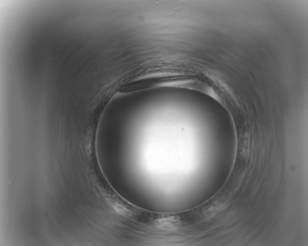 X0000068770505200605051635