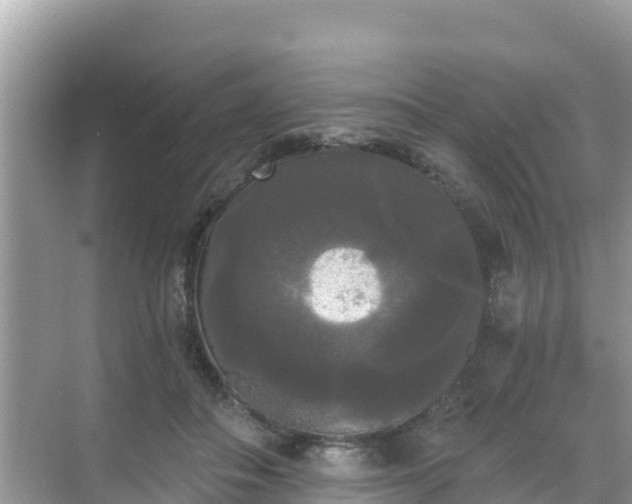 X0000068770506200605051635