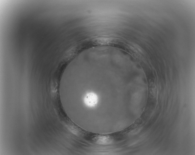 X0000068770507200605051635