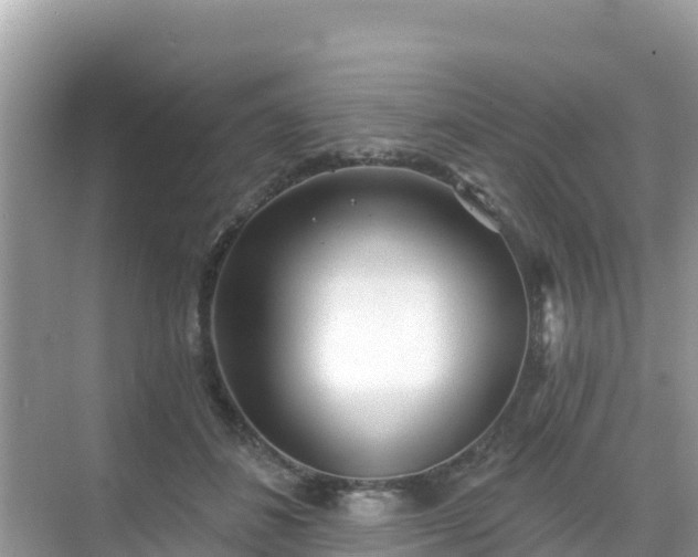 X0000068770508200605051635