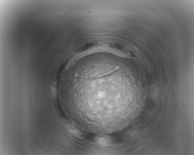 X0000068770510200605051635