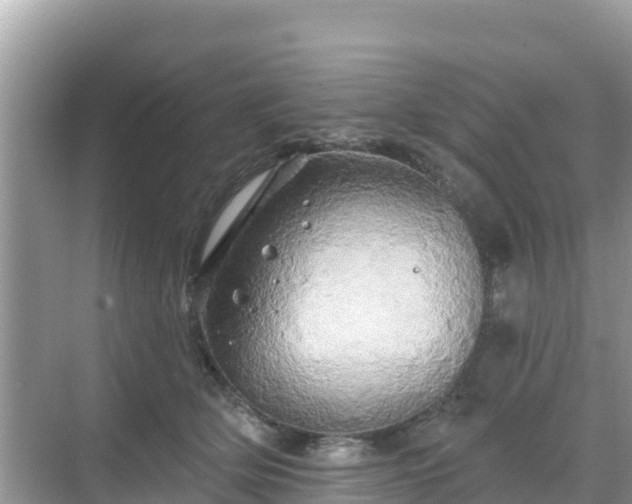 X0000068770514200605051635