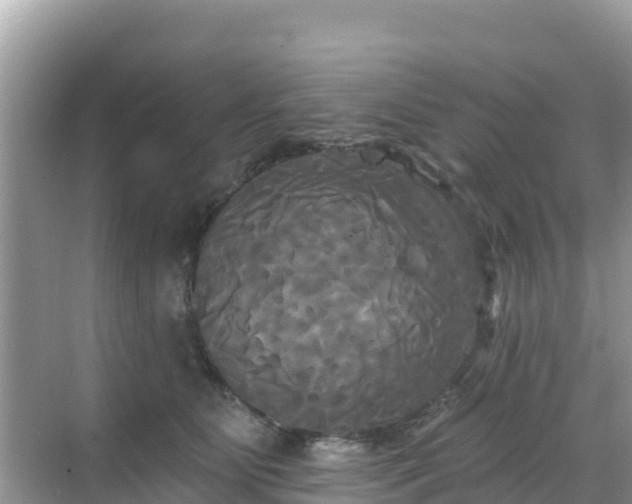 X0000068770515200605051635