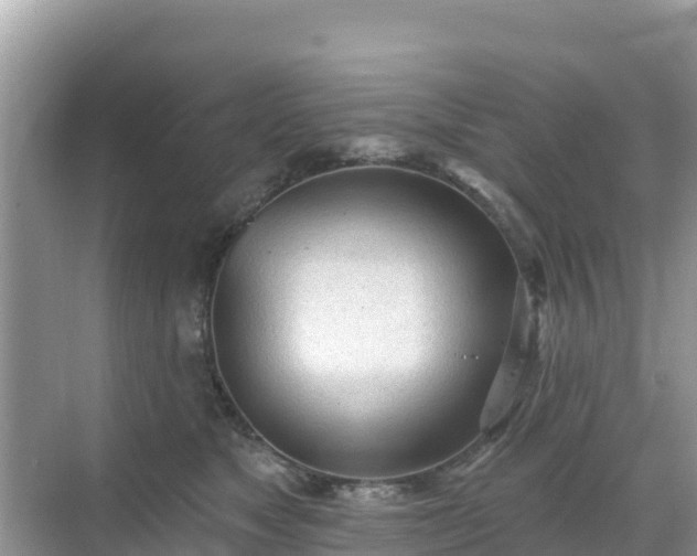 X0000068770517200605051635