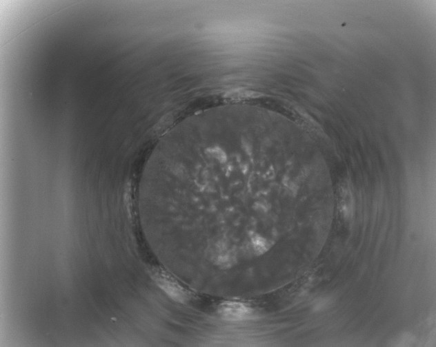 X0000068770519200605051635