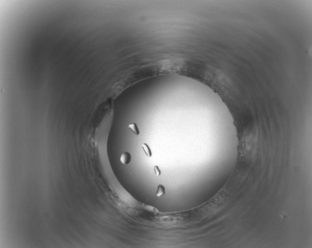 X0000068770522200605051635