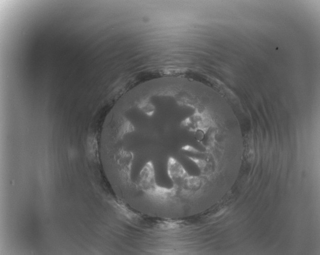 X0000068770523200605051635