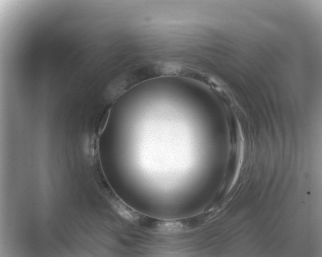 X0000068770525200605051635