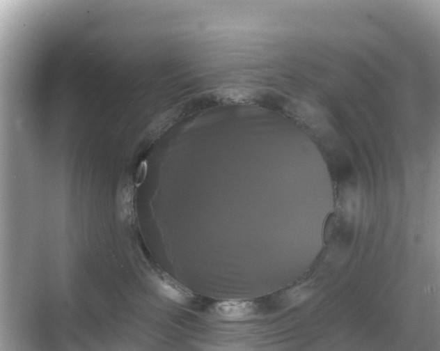 X0000068770526200605051635