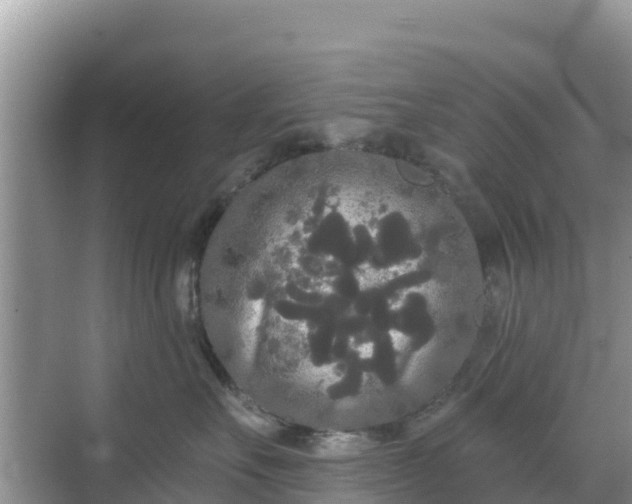 X0000068770527200605051635