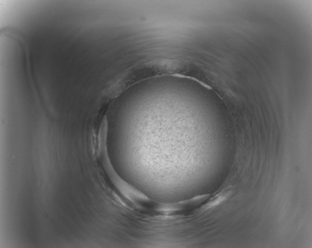 X0000068770528200605051635