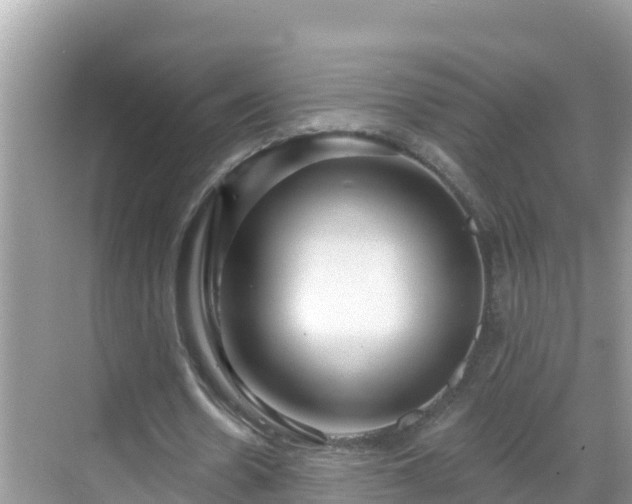 X0000068770530200605051634