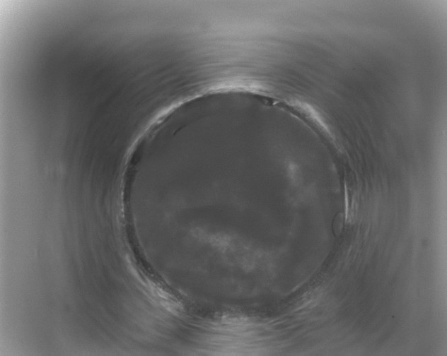 X0000068770531200605051634