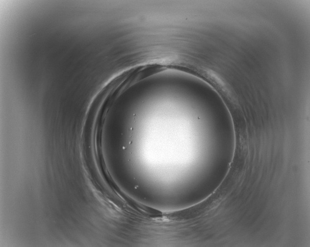 X0000068770532200605051634