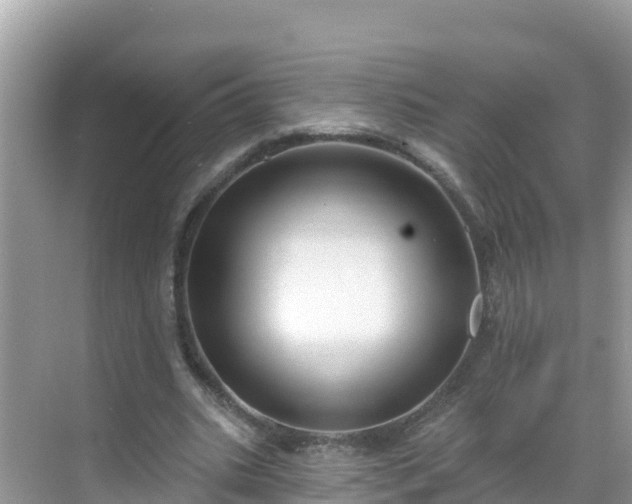 X0000068770535200605051634