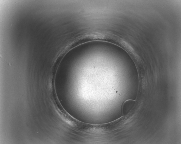 X0000068770537200605051634