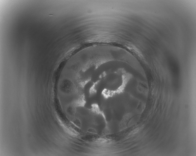 X0000068770542200605051634