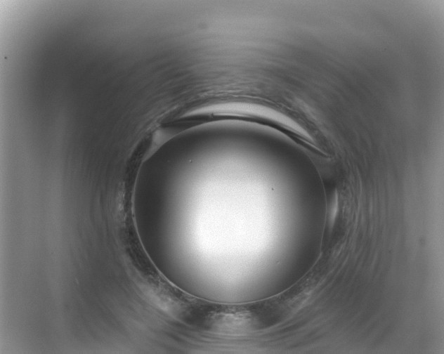 X0000068770548200605051634