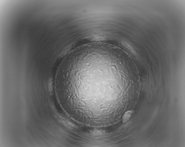 X0000068770549200605051634