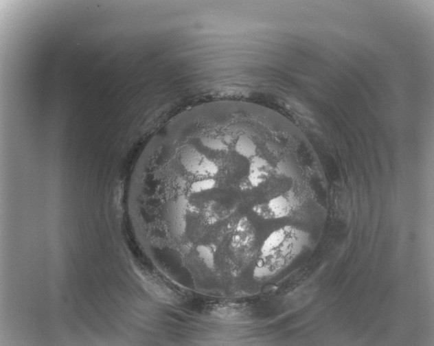 X0000068770550200605051634