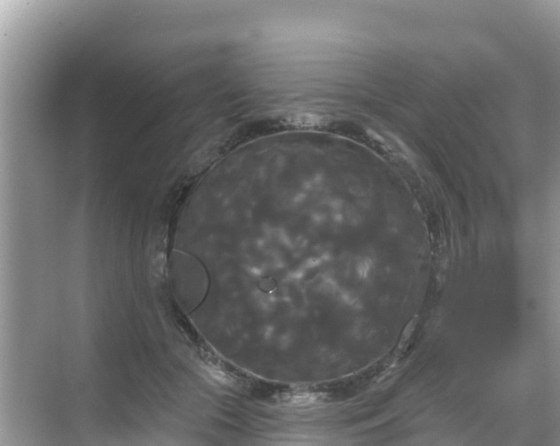 X0000068770553200605051634