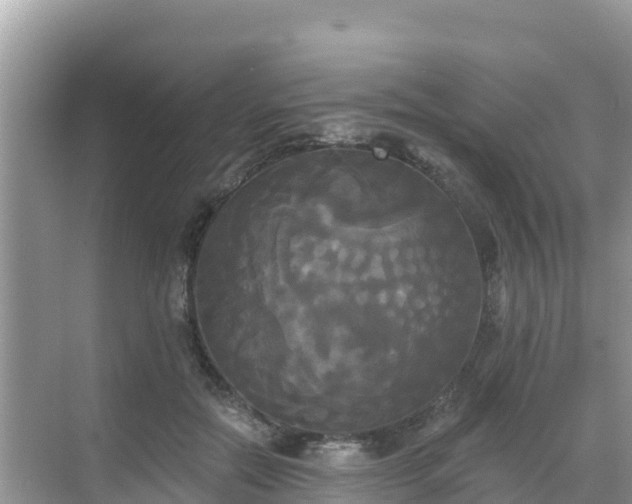 X0000068770554200605051634