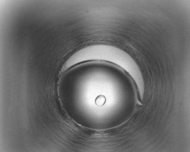 X0000068770556200605051634