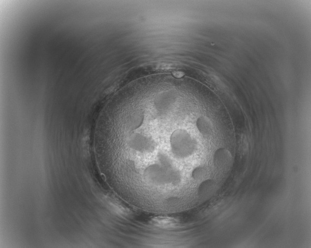 X0000068770557200605051634