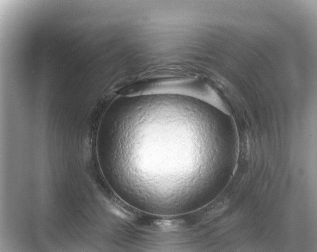 X0000068770558200605051634