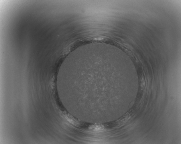 X0000068770559200605051634