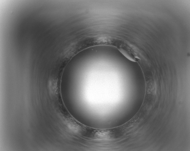 X0000068770560200605051634