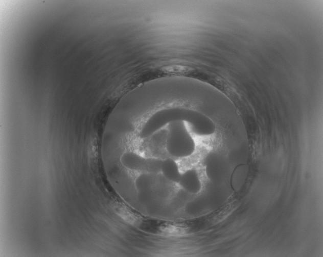 X0000068770561200605051634