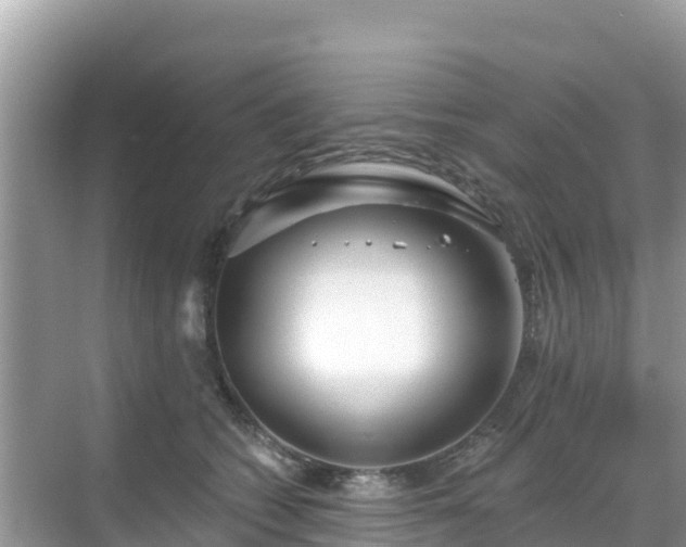 X0000068770562200605051634