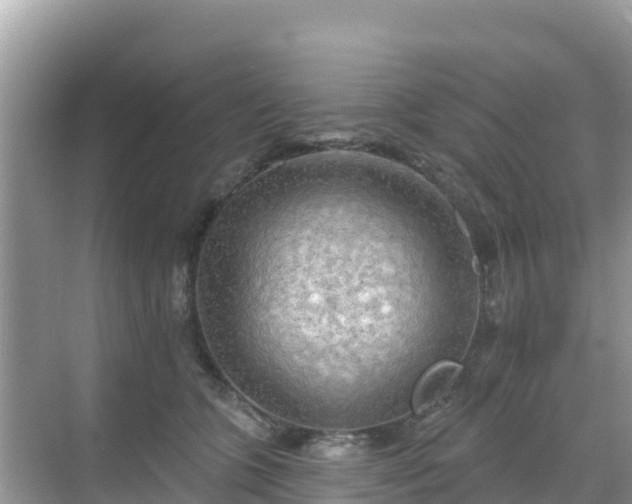 X0000068770563200605051634