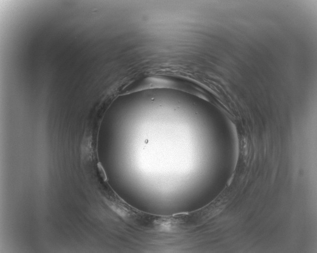 X0000068770564200605051634