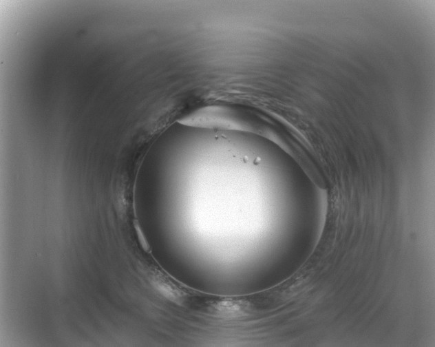 X0000068770566200605051634