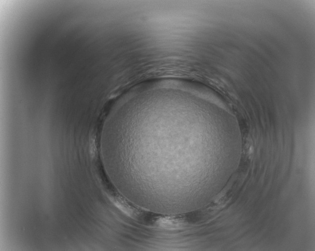 X0000068770568200605051634