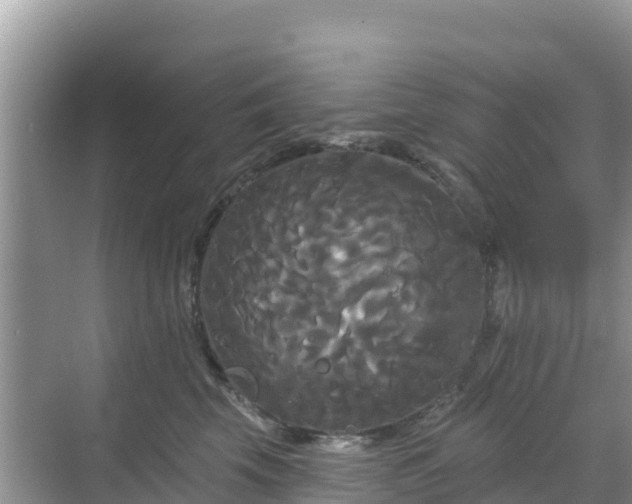 X0000068770569200605051635