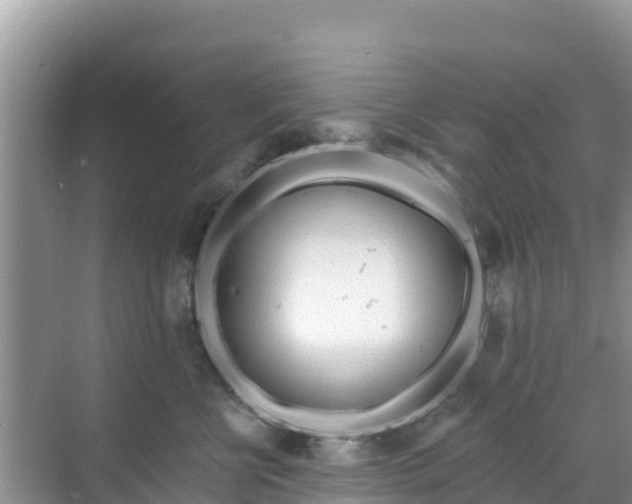 X0000068770570200605051635