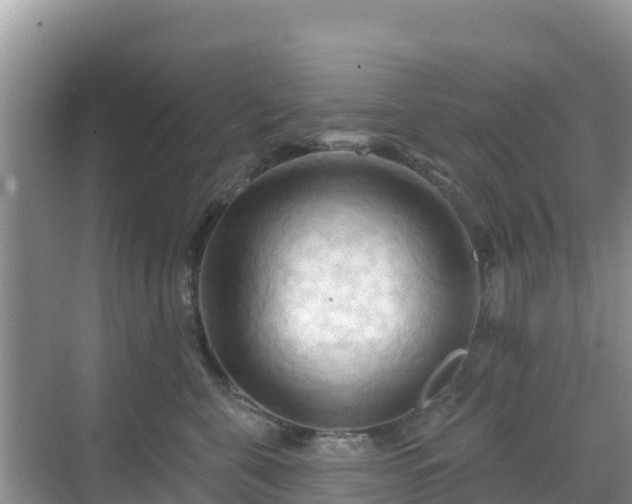 X0000068770571200605051635