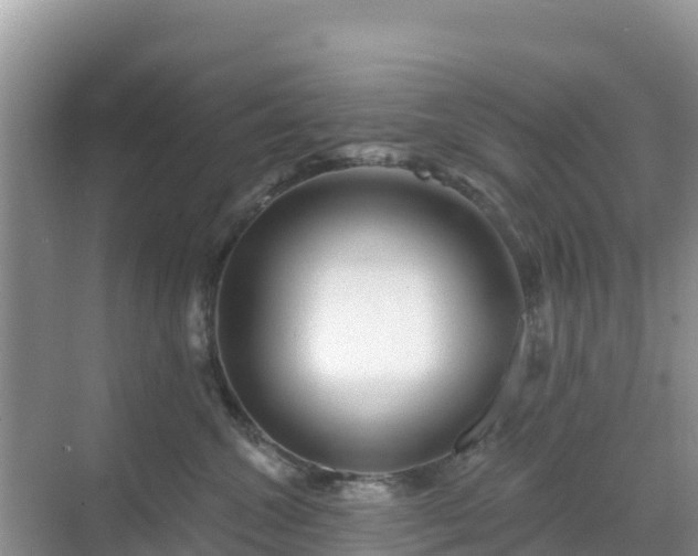 X0000068770572200605051635