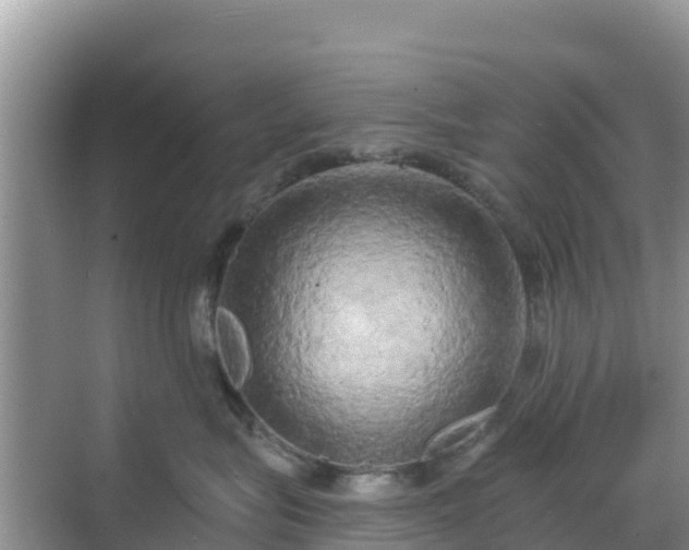 X0000068770575200605051635