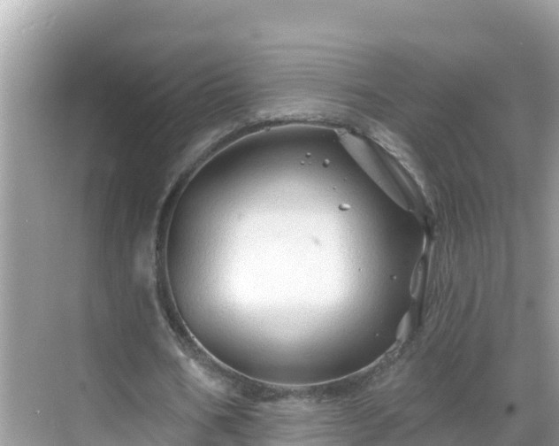 X0000068770578200605051634