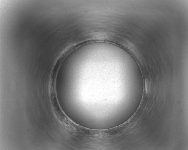 X0000068770579200605051634