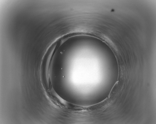 X0000068770580200605051634