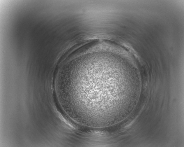 X0000068770585200605051634